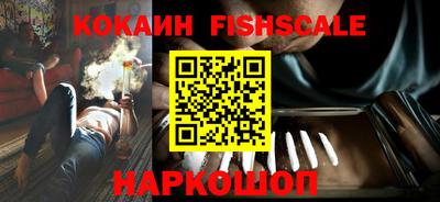 шишки Обь