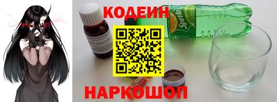 шишки Обь