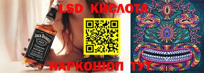шишки Обь