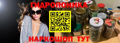 шишки Обь