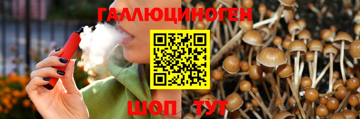Галлюциногенные грибы Magic Shrooms Сердобск